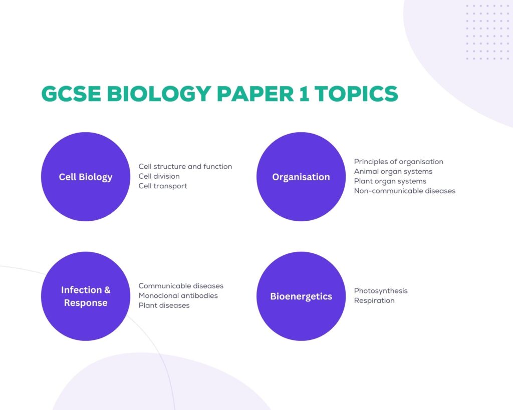 GCSE Biology Paper 1 Topics