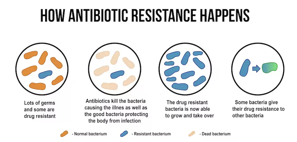 Antibiotic Resistance