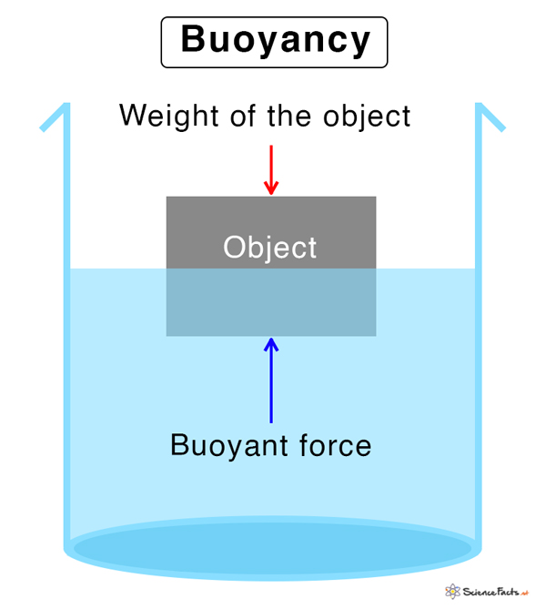 buoyancy