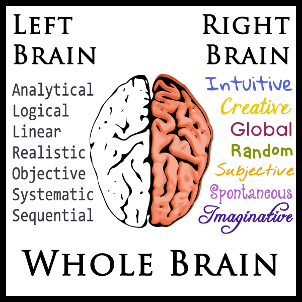 Left Brain vs. Right Brain