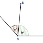 Adjacent Angles