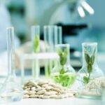 Anaerobic respiration in plants