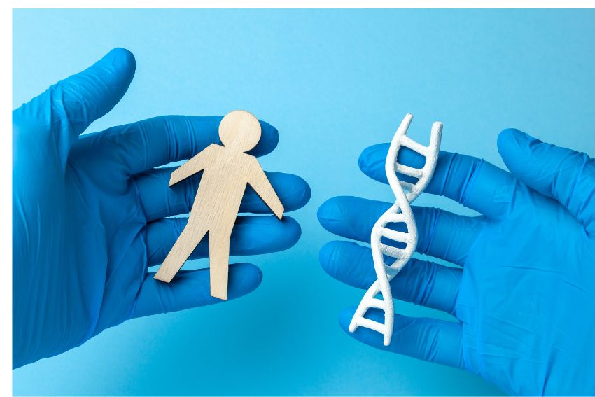 DNA replication in a-level biology