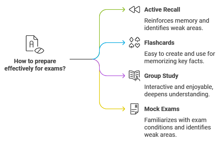 exam preparation year 10