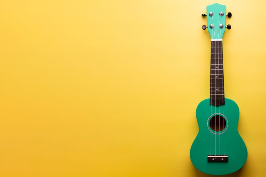 easiest instrument to learn for beginners-ukulele