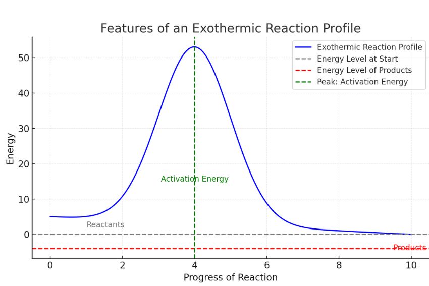 Exothermic Reaction Profiles 