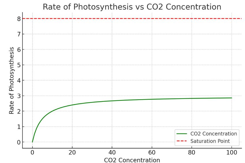 Factors Affecting Photosynthesis-CO2 concentration