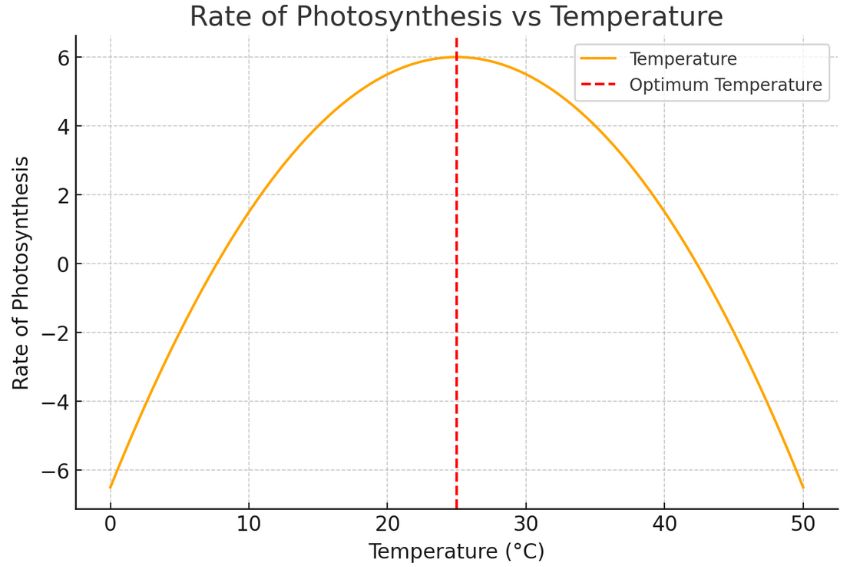 the limiting factors of photosynthesis- temperature