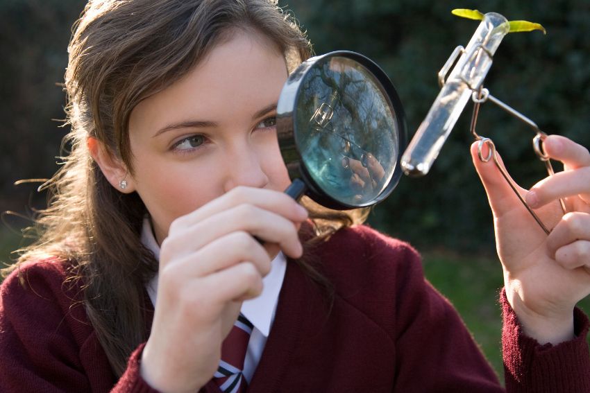 IGCSE Biology Specification