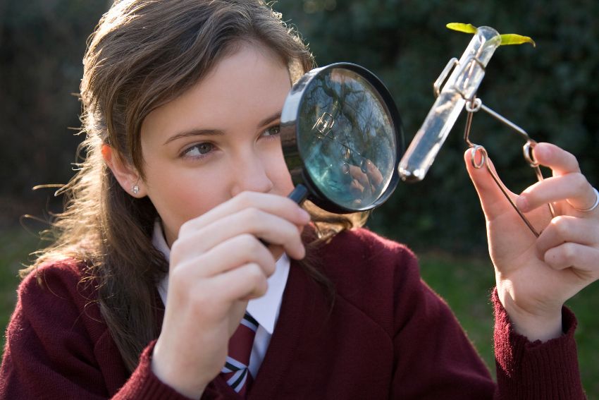 a level biology students