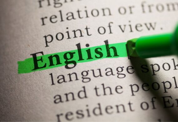 blog-image